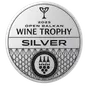 Wine Vision — 2025