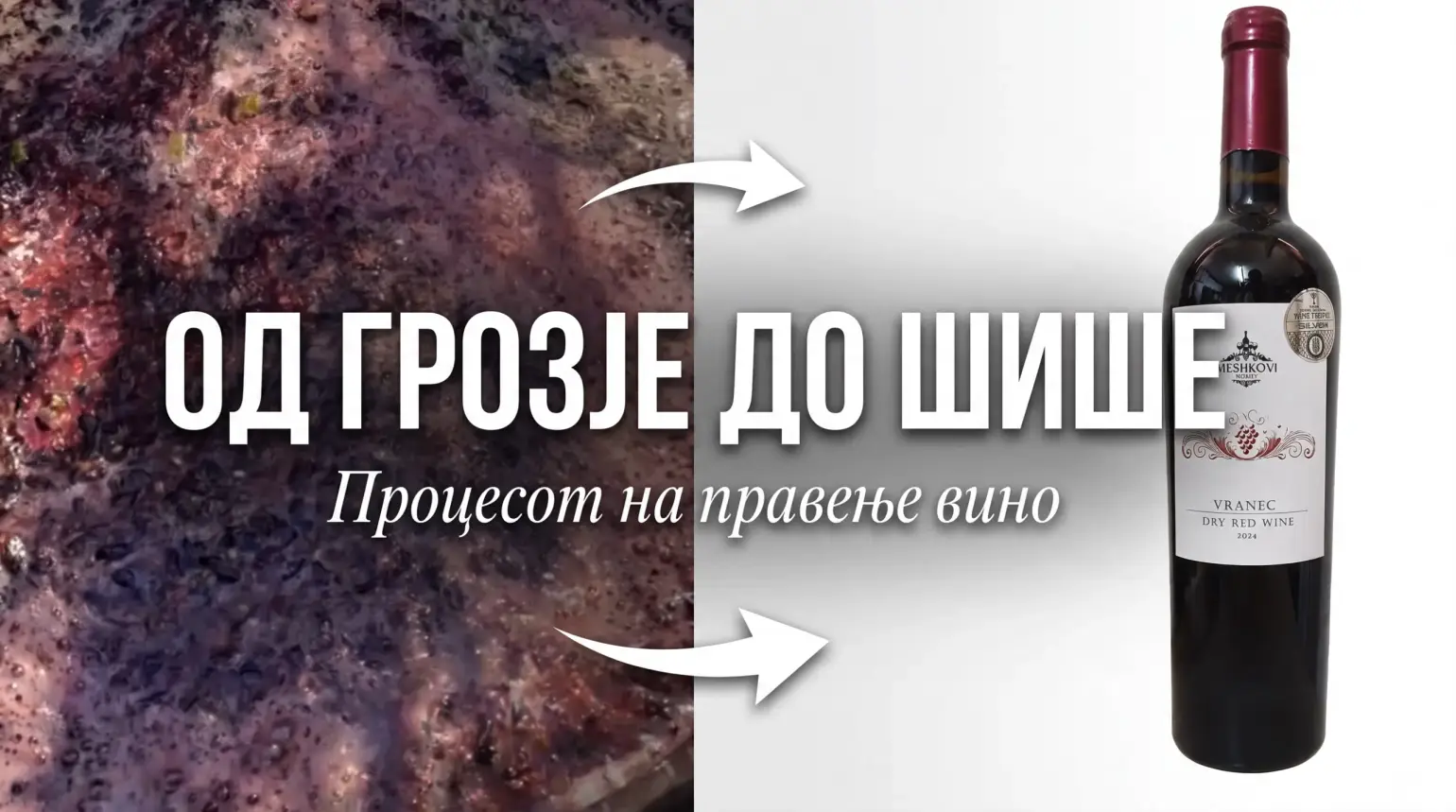 Од последната каца до Вранец: Приказната на реколта 2026